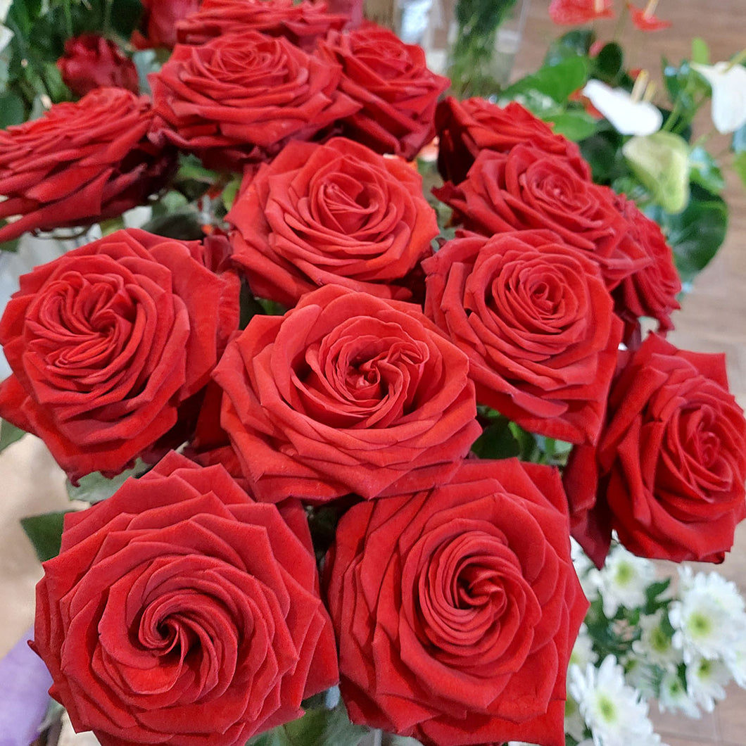 Bouquet rose rosse - 12 rose fresche