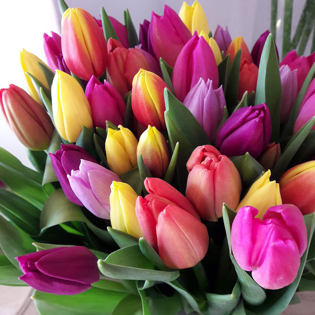 Bouquet Tulipani - Bouquet Medium
