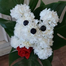 Carica l'immagine nel visualizzatore di Gallery, Bouquet Orsetto